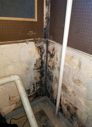 basement-black-mold-remediation-and-leak-repair-87