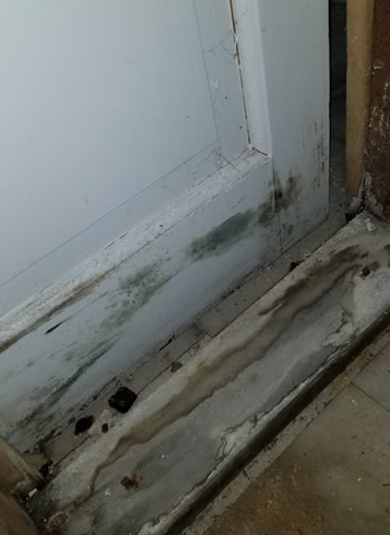 door-fire-mold-damage-repair-replacement-154