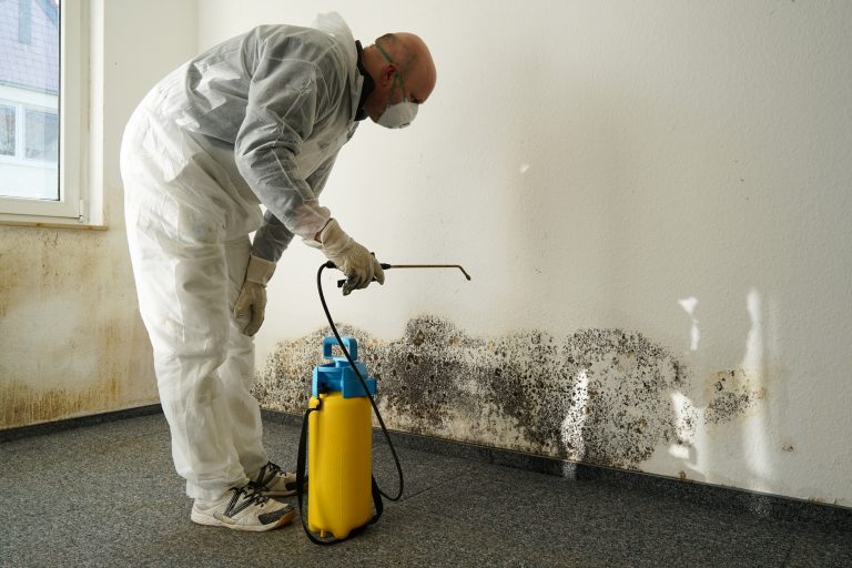 Professional Water Damage Restoration Services in Maryland