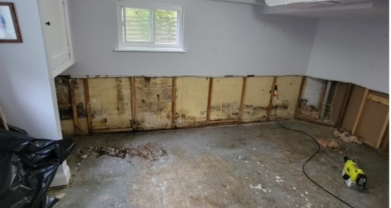 Mold Remediation in Gaithersburg, Maryland