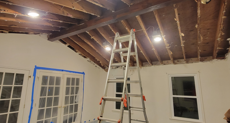Mold Removal in Chevy Chase