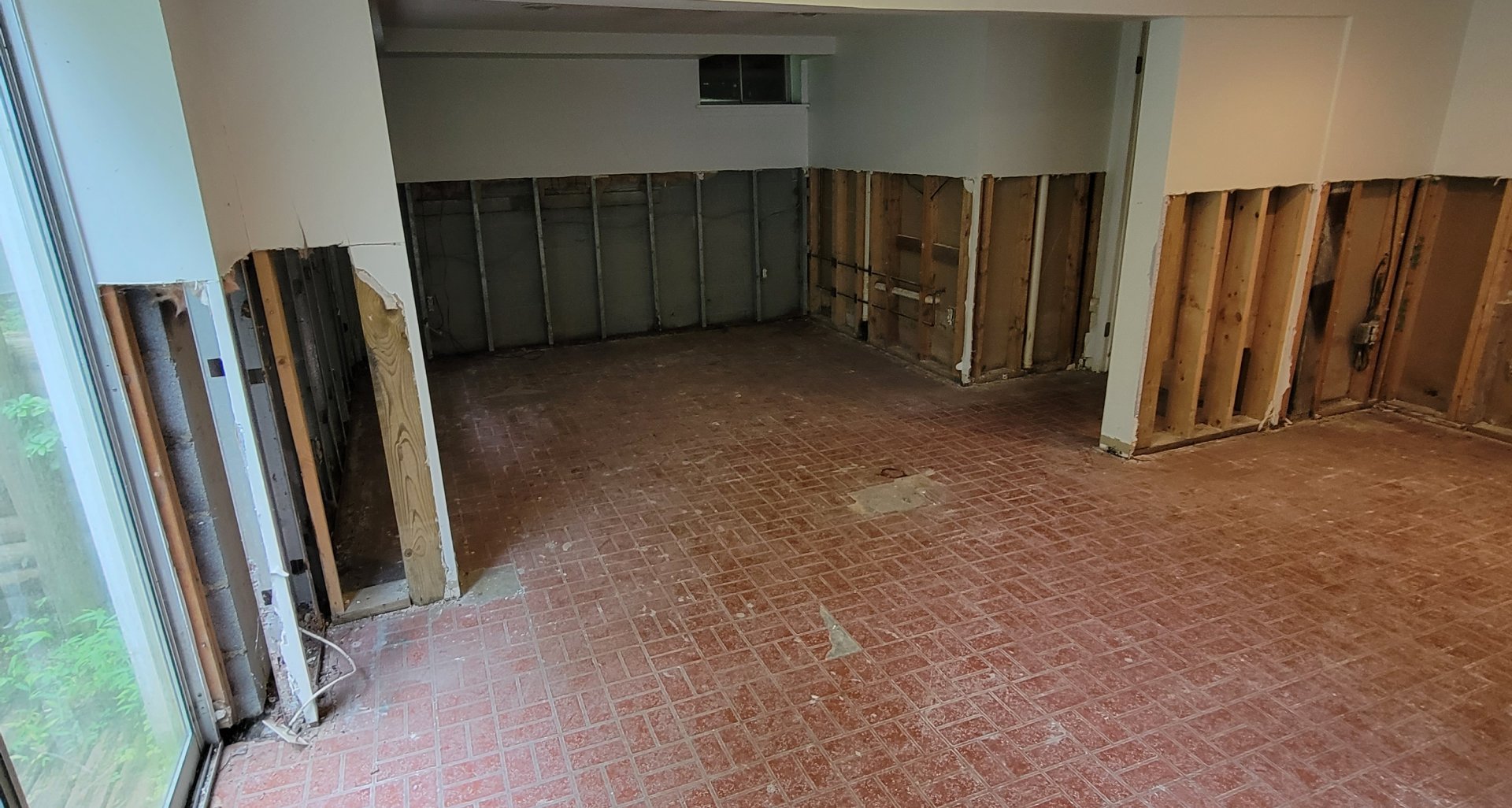 Best Mold Remediation for Commercial Properties in Silver Springs