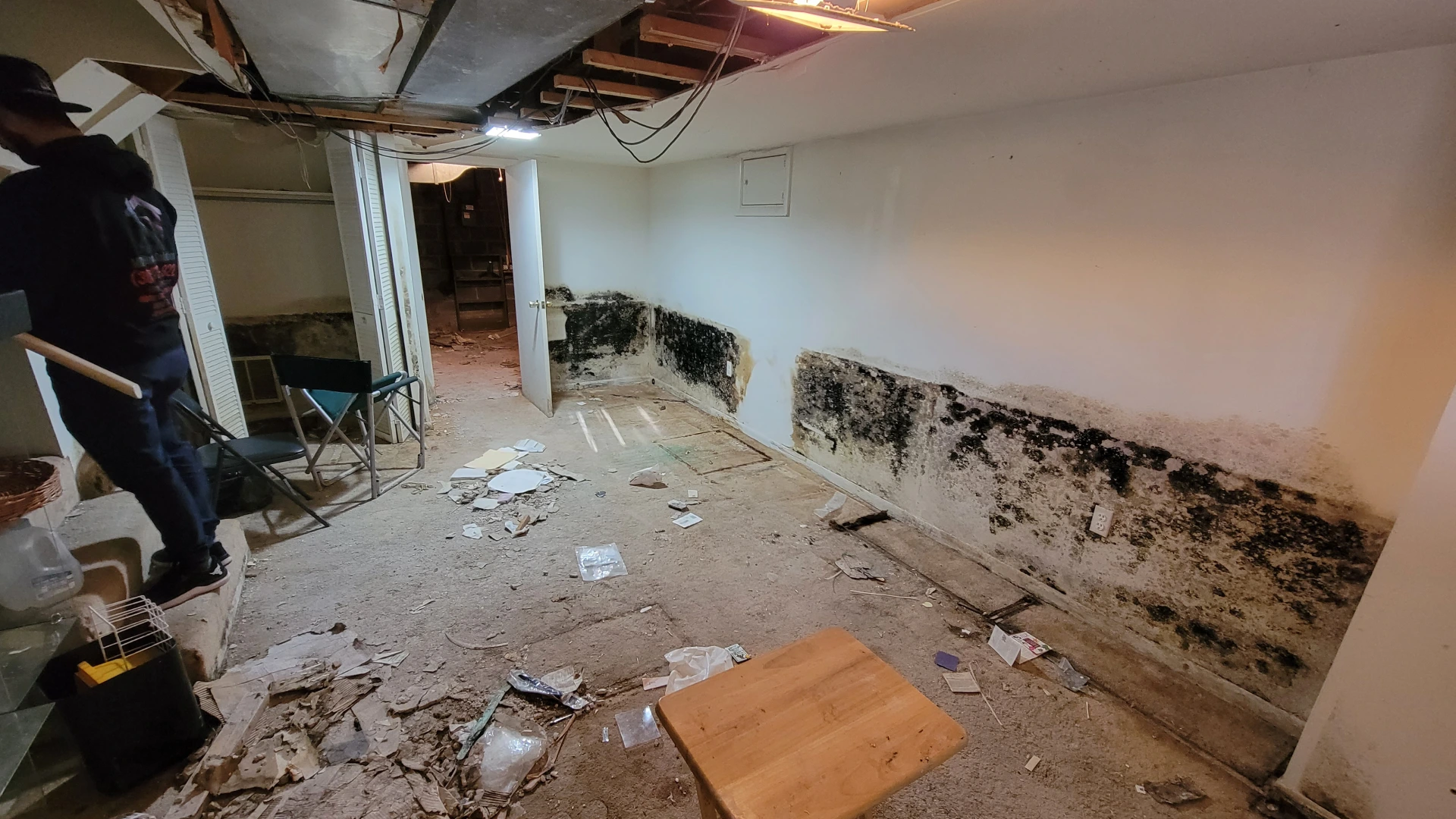 Commercial Property Mold Remediation in False Church, Virginia